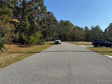 Beautiful .29-Acre Homesite in Sugar Mill Woods - Oak Village on Sugarmill Woods Golf and Country Club in Florida - for sale on GolfHomes.com, golf home, golf lot