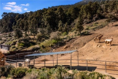 Build your mountain dream home -- or up to 4 units (subject to on Pine Mountain Club in California - for sale on GolfHomes.com, golf home, golf lot