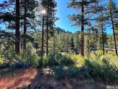 Priced to sell lot in the premier, upscale gated community of on Clear Creek Tahoe in Nevada - for sale on GolfHomes.com, golf home, golf lot