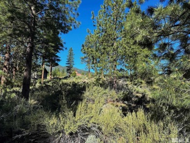 Priced to sell lot in the premier, upscale gated community of on Clear Creek Tahoe in Nevada - for sale on GolfHomes.com, golf home, golf lot
