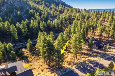 Priced to sell lot in the premier, upscale gated community of on Clear Creek Tahoe in Nevada - for sale on GolfHomes.com, golf home, golf lot