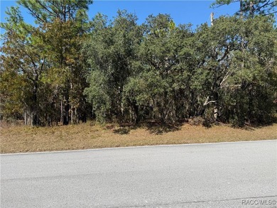 Premium Building Lot in Sugarmill Woods - Cypress Village on Sugarmill Woods Golf and Country Club in Florida - for sale on GolfHomes.com, golf home, golf lot