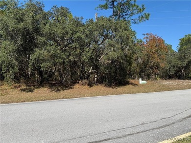 Premium Building Lot in Sugarmill Woods - Cypress Village on Sugarmill Woods Golf and Country Club in Florida - for sale on GolfHomes.com, golf home, golf lot