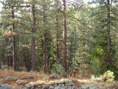 Situated on just over half an acre, this stunning property is on Grizzly Ranch Golf Club in California - for sale on GolfHomes.com, golf home, golf lot