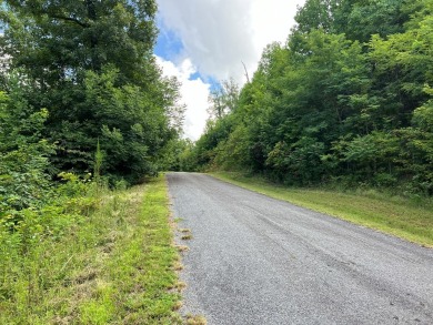 Build Your Dream Home in Mountain Harbour! This beautiful lot is on Chatuge Shores Golf Course in North Carolina - for sale on GolfHomes.com, golf home, golf lot