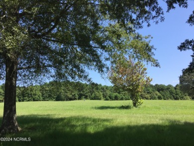 This .65 acre golf course lot is in Mulberry Hill Plantation, a on Chowan Golf and Country Club in North Carolina - for sale on GolfHomes.com, golf home, golf lot