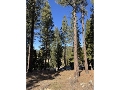 **Experience the Best of Nature and Luxury at Grizzly Ranch!** on Grizzly Ranch Golf Club in California - for sale on GolfHomes.com, golf home, golf lot