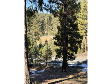 **Experience the Best of Nature and Luxury at Grizzly Ranch!** on Grizzly Ranch Golf Club in California - for sale on GolfHomes.com, golf home, golf lot