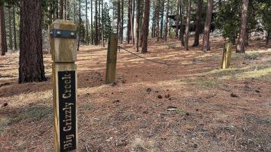 This lot backs up to a seasonal creek and is  across the street on Grizzly Ranch Golf Club in California - for sale on GolfHomes.com, golf home, golf lot