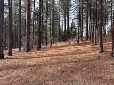 This lot backs up to a seasonal creek and is  across the street on Grizzly Ranch Golf Club in California - for sale on GolfHomes.com, golf home, golf lot