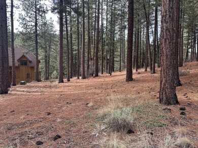 This lot backs up to a seasonal creek and is  across the street on Grizzly Ranch Golf Club in California - for sale on GolfHomes.com, golf home, golf lot