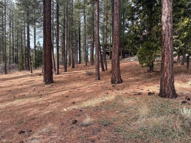 This lot backs up to a seasonal creek and is  across the street on Grizzly Ranch Golf Club in California - for sale on GolfHomes.com, golf home, golf lot