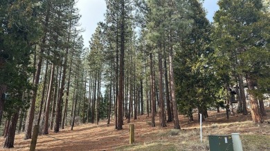 This lot backs up to a seasonal creek and is  across the street on Grizzly Ranch Golf Club in California - for sale on GolfHomes.com, golf home, golf lot