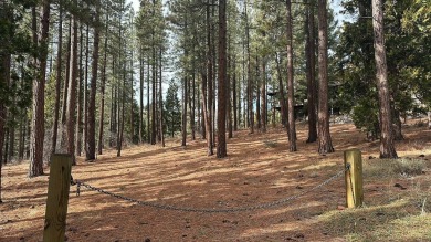 This lot backs up to a seasonal creek and is  across the street on Grizzly Ranch Golf Club in California - for sale on GolfHomes.com, golf home, golf lot