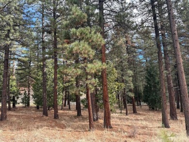 This Grizzly Ranch lot has a gentle downhill slope and sits near on Grizzly Ranch Golf Club in California - for sale on GolfHomes.com, golf home, golf lot