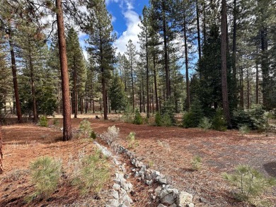 This Grizzly Ranch lot has a gentle downhill slope and sits near on Grizzly Ranch Golf Club in California - for sale on GolfHomes.com, golf home, golf lot