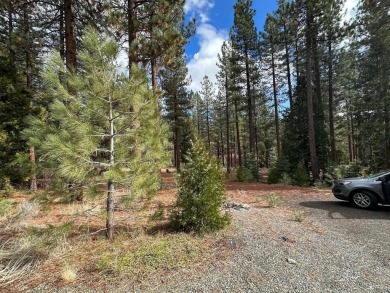 This Grizzly Ranch lot has a gentle downhill slope and sits near on Grizzly Ranch Golf Club in California - for sale on GolfHomes.com, golf home, golf lot