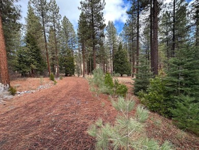 This Grizzly Ranch lot has a gentle downhill slope and sits near on Grizzly Ranch Golf Club in California - for sale on GolfHomes.com, golf home, golf lot