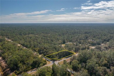 Welcome to Indian Lake Estates! This expansive corner lot, just on Indian Lake Estates Golf and Country Club in Florida - for sale on GolfHomes.com, golf home, golf lot