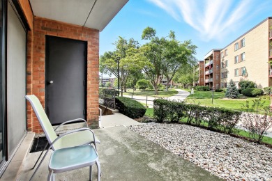 Welcome to your dream home in the highly sought-after Willow on Twin Lakes Golf Course in Illinois - for sale on GolfHomes.com, golf home, golf lot