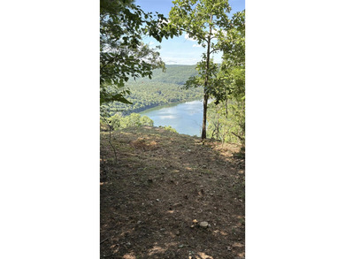 Amazing Views of Middle Fork on Greers Ferry Lake!  See survey on  in Arkansas - for sale on GolfHomes.com, golf home, golf lot