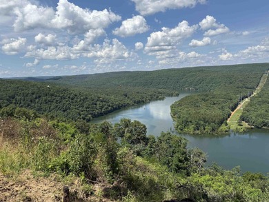 Amazing Views of Middle Fork on Greers Ferry Lake!  See survey on  in Arkansas - for sale on GolfHomes.com, golf home, golf lot