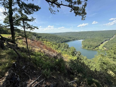 Amazing Views of Middle Fork on Greers Ferry Lake!  See survey on  in Arkansas - for sale on GolfHomes.com, golf home, golf lot