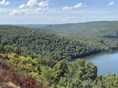 Amazing Views of Middle Fork on Greers Ferry Lake!  See survey on  in Arkansas - for sale on GolfHomes.com, golf home, golf lot