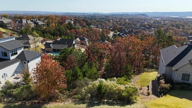 Million dollar view over looking the Arkansas River and Pinnacle on Maumelle Golf and Country Club in Arkansas - for sale on GolfHomes.com, golf home, golf lot