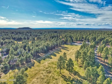 Welcome to your dream condo at Pinetop Lakes Country Club! If on Pinetop Lakes Golf and Country Club in Arizona - for sale on GolfHomes.com, golf home, golf lot