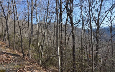 NORTH CAROLINA MOUNTAIN LOT!! This beautifully wooded 2.24 acre on Mountain Harbour Golf Club in North Carolina - for sale on GolfHomes.com, golf home, golf lot