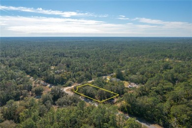 Welcome to Indian Lake Estates! This expansive corner lot, just on Indian Lake Estates Golf and Country Club in Florida - for sale on GolfHomes.com, golf home, golf lot