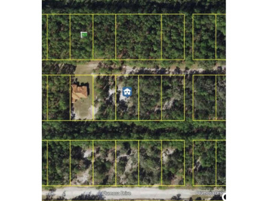 Discover the perfect opportunity to build your dream home or on Indian Lake Estates Golf and Country Club in Florida - for sale on GolfHomes.com, golf home, golf lot