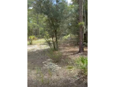 Discover the perfect opportunity to build your dream home or on Indian Lake Estates Golf and Country Club in Florida - for sale on GolfHomes.com, golf home, golf lot