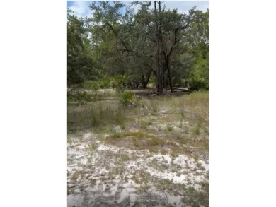 Discover the perfect opportunity to build your dream home or on Indian Lake Estates Golf and Country Club in Florida - for sale on GolfHomes.com, golf home, golf lot