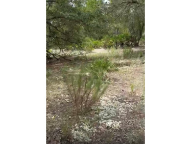 Discover the perfect opportunity to build your dream home or on Indian Lake Estates Golf and Country Club in Florida - for sale on GolfHomes.com, golf home, golf lot