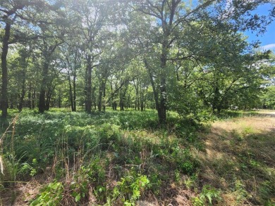 3 great lots creating .83 of an acre a nice corner lot for on Nocona Hills Golf Course in Texas - for sale on GolfHomes.com, golf home, golf lot