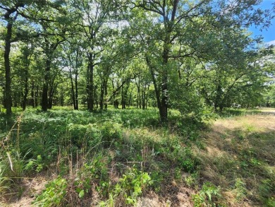 3 great lots creating .83 of an acre a nice corner lot for on Nocona Hills Golf Course in Texas - for sale on GolfHomes.com, golf home, golf lot
