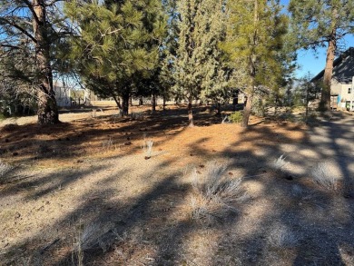 Beautiful ***in-your-face*** Golf Course Lot!  ...with sewer on Lake Shastina Golf Course in California - for sale on GolfHomes.com, golf home, golf lot