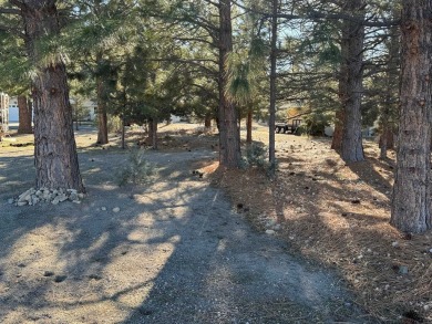 Beautiful ***in-your-face*** Golf Course Lot!  ...with sewer on Lake Shastina Golf Course in California - for sale on GolfHomes.com, golf home, golf lot