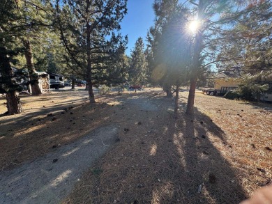 Beautiful ***in-your-face*** Golf Course Lot!  ...with sewer on Lake Shastina Golf Course in California - for sale on GolfHomes.com, golf home, golf lot