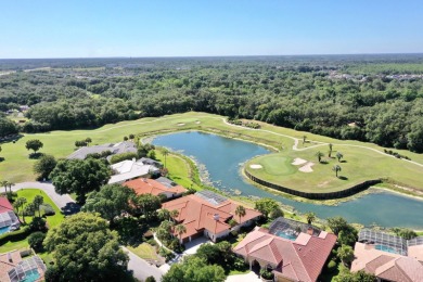 Stunning custom home in the private golf  tennis community of on Saddlebrook Golf and Country Club in Florida - for sale on GolfHomes.com, golf home, golf lot