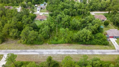 Invest your money in a highly desirable, fast-growing location on Mirror Lakes Golf Club in Florida - for sale on GolfHomes.com, golf home, golf lot