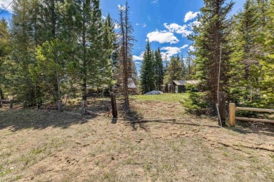 Level building lot bordering Tamarack land with direct access to on Osprey Meadows at Tamarack Resort in Idaho - for sale on GolfHomes.com, golf home, golf lot
