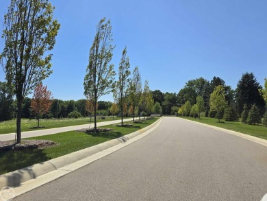 1.2-acre Estate size vacant lot located in the highly sought on The Myth Golf and Banquet - Beaver Creek Links in Michigan - for sale on GolfHomes.com, golf home, golf lot