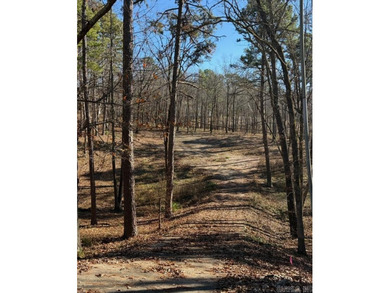 Nice subdivision lot ready for you to build your dream home on on Diamondhead Golf and Country Club in Arkansas - for sale on GolfHomes.com, golf home, golf lot