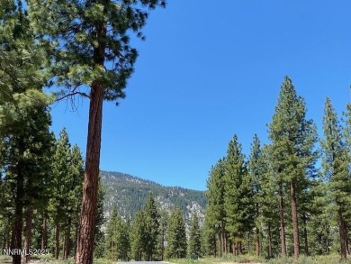 Clear Creek Tahoe is Northern Nevada's most exciting new on Clear Creek Tahoe in Nevada - for sale on GolfHomes.com, golf home, golf lot