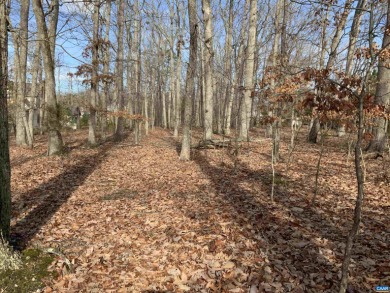 One of the Last remaining Lots in THE ACRES.  Enjoy this on Lake Monticello Golf Course in Virginia - for sale on GolfHomes.com, golf home, golf lot