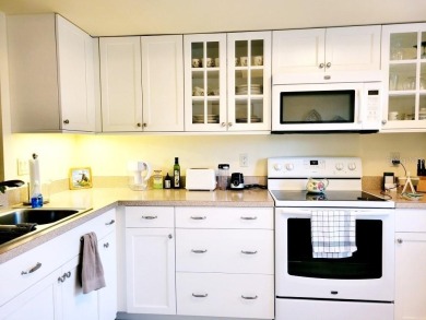 Welcome to your new home. This lovely 2 bedroom, 2 bath Villa on Highland Lakes Executive Golf Course in Florida - for sale on GolfHomes.com, golf home, golf lot