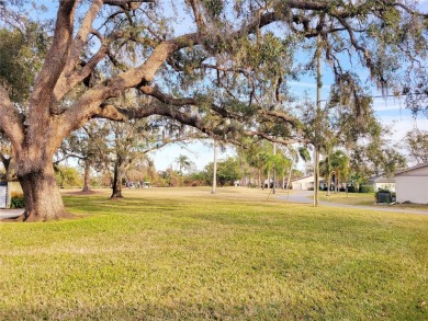 Welcome to your new home. This lovely 2 bedroom, 2 bath Villa on Highland Lakes Executive Golf Course in Florida - for sale on GolfHomes.com, golf home, golf lot